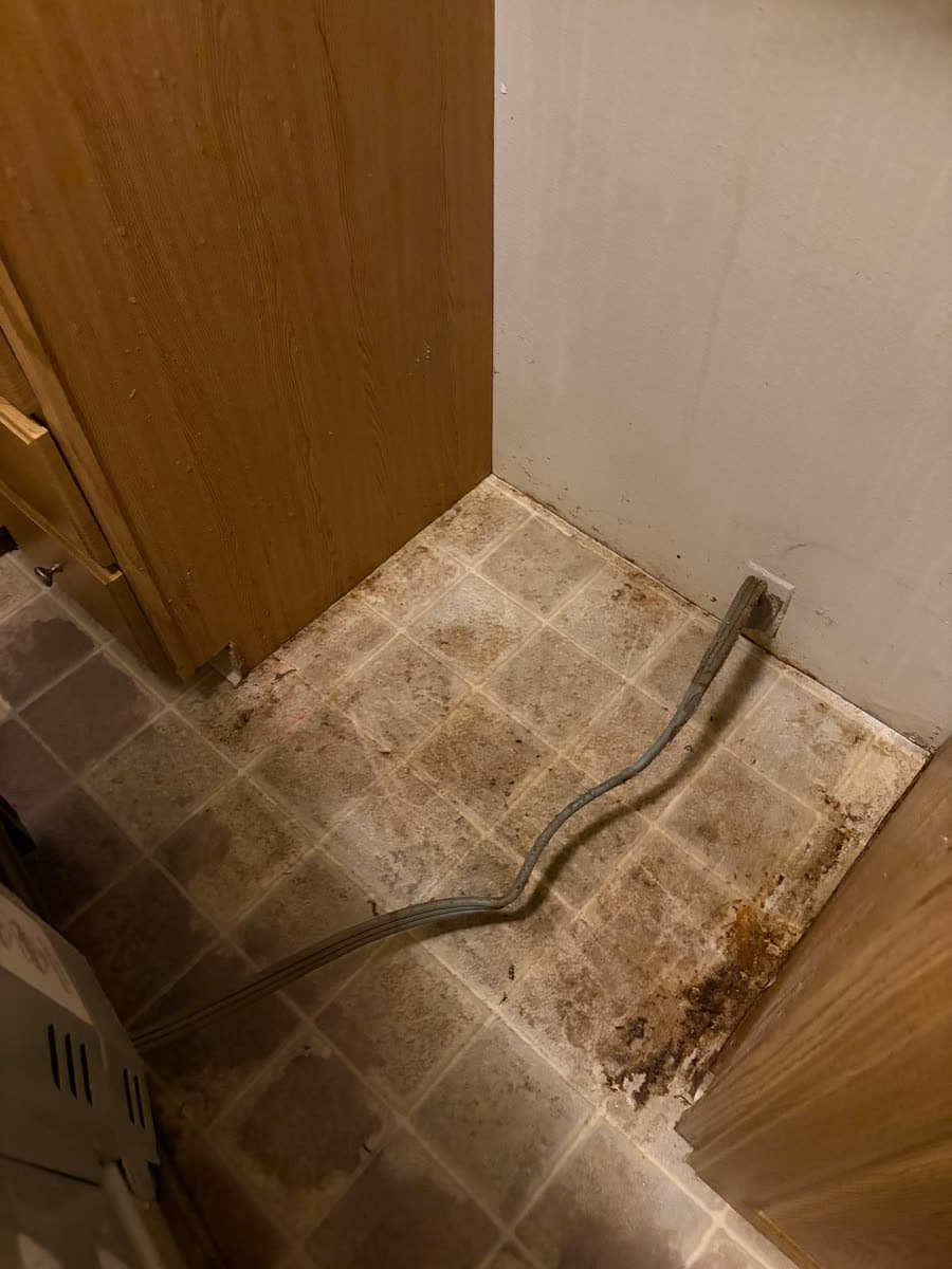 Bathroom floor deep clean — Before